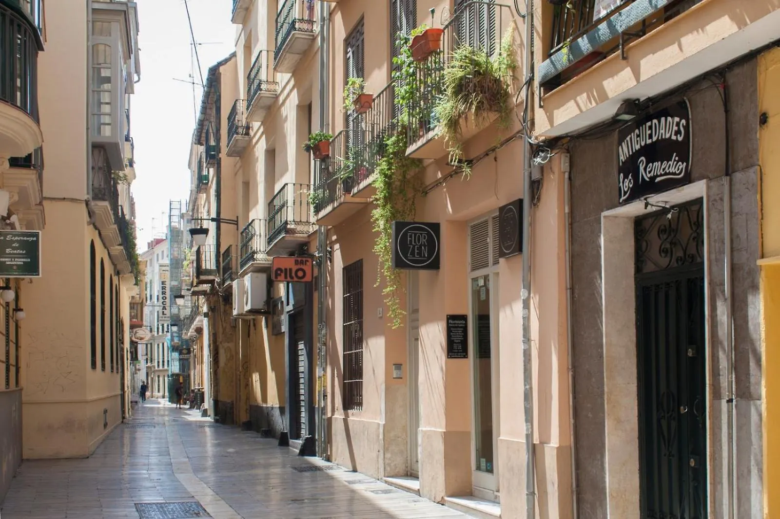 Apartamento La Terraza De Beatas Málaga